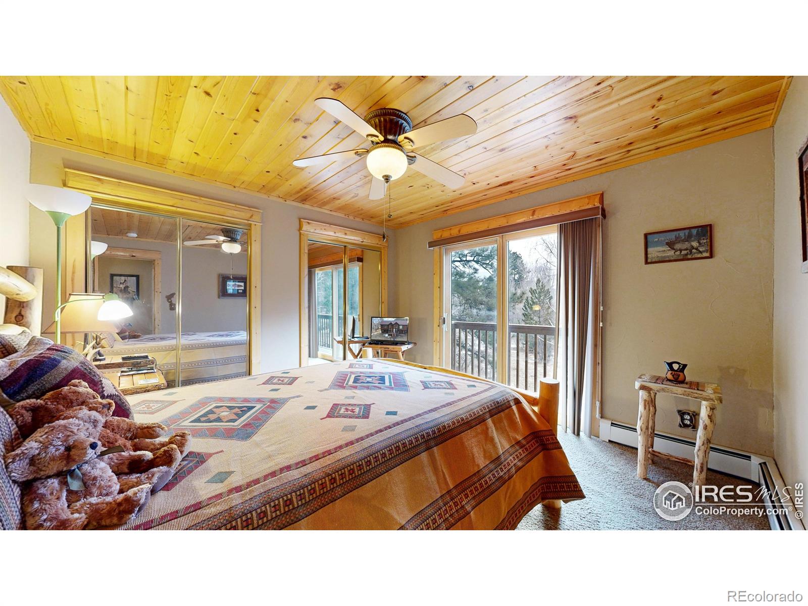 MLS Image #8 for 1280  fall river road,estes park, Colorado