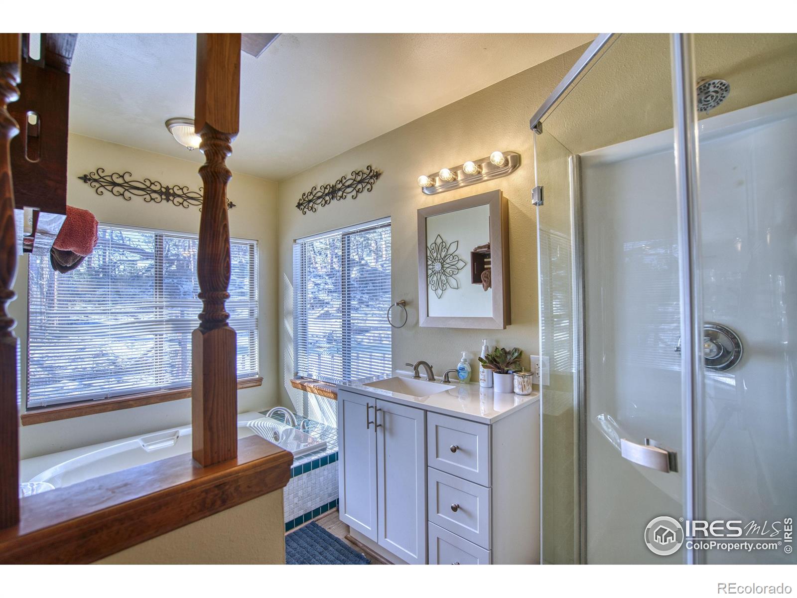 MLS Image #14 for 231  snake lake drive,red feather lakes, Colorado