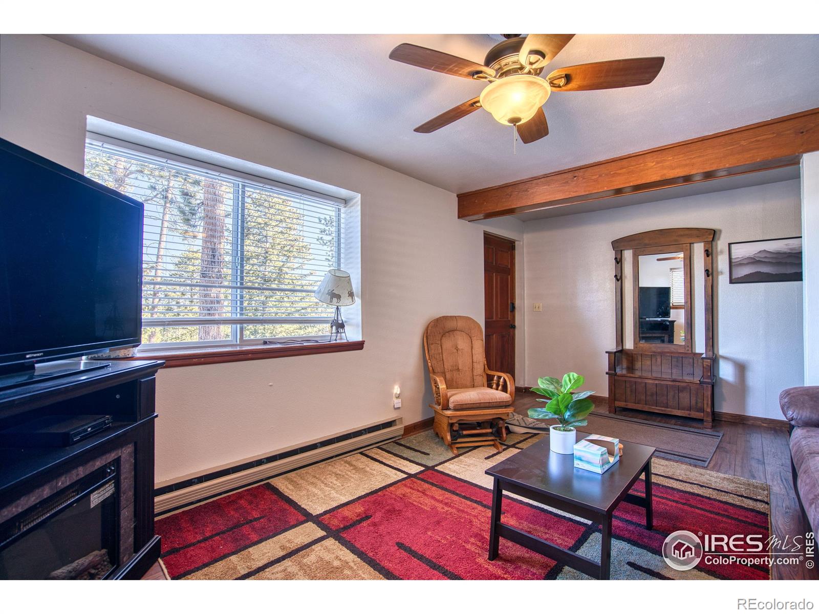 MLS Image #17 for 231  snake lake drive,red feather lakes, Colorado