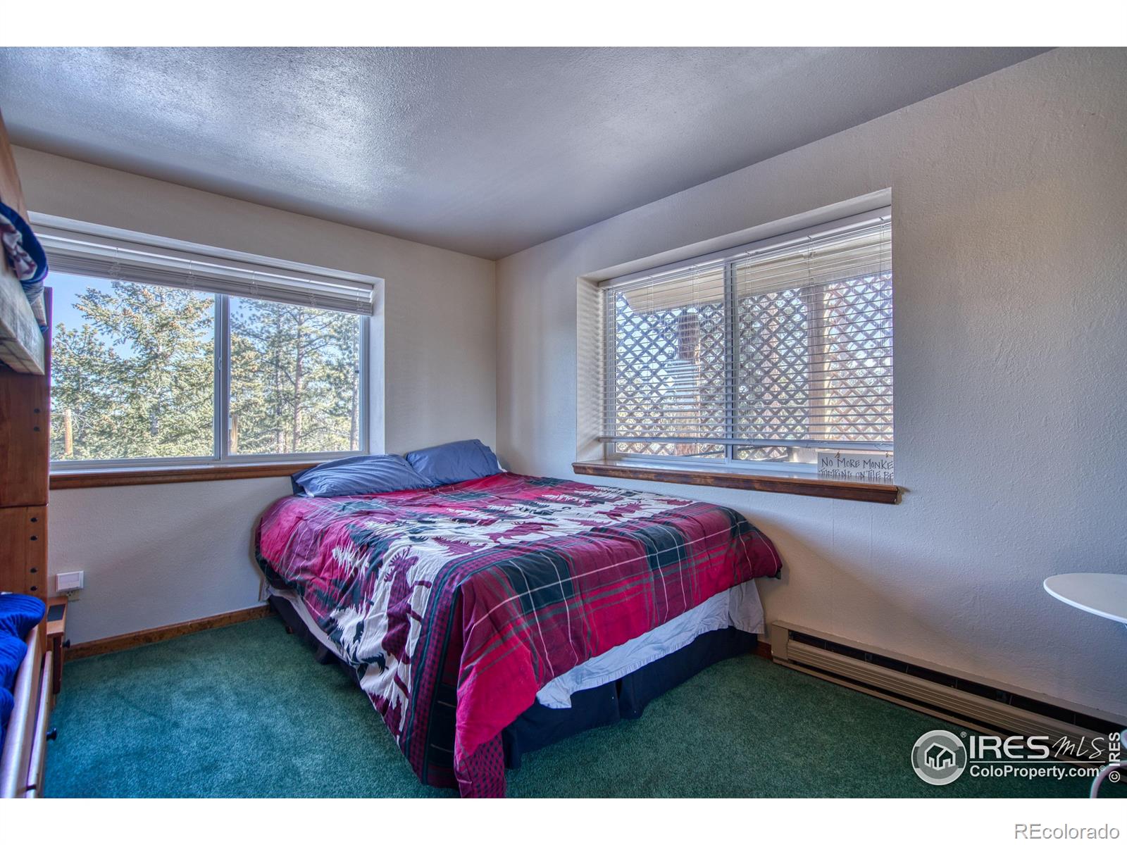 MLS Image #18 for 231  snake lake drive,red feather lakes, Colorado