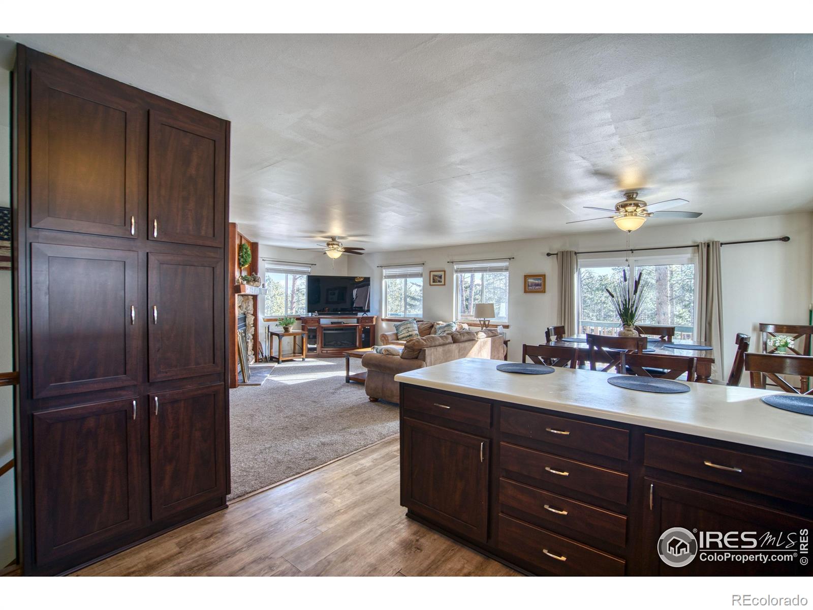 MLS Image #2 for 231  snake lake drive,red feather lakes, Colorado