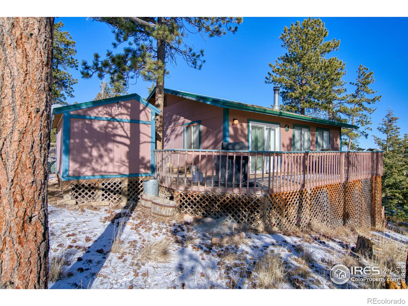 MLS Image #26 for 231  snake lake drive,red feather lakes, Colorado