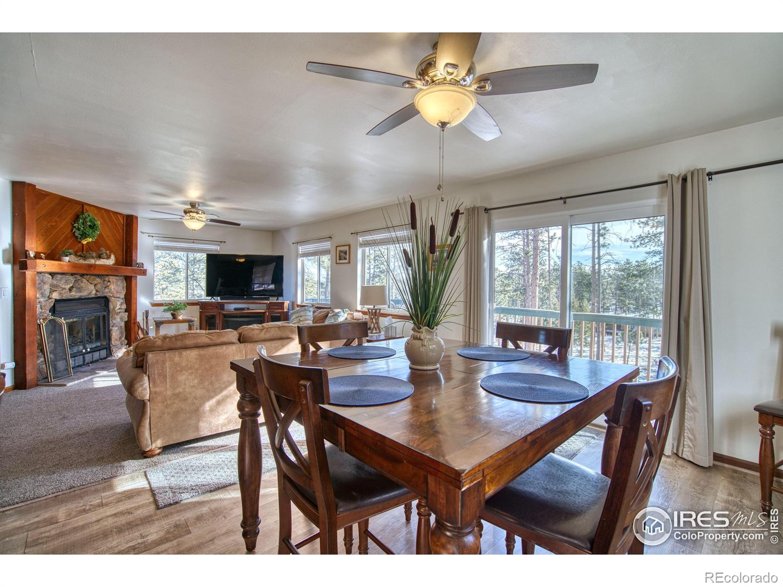 MLS Image #4 for 231  snake lake drive,red feather lakes, Colorado