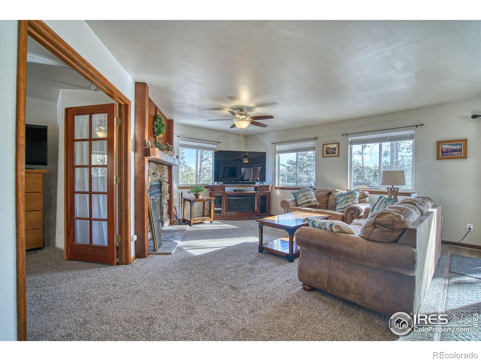 MLS Image #6 for 231  snake lake drive,red feather lakes, Colorado