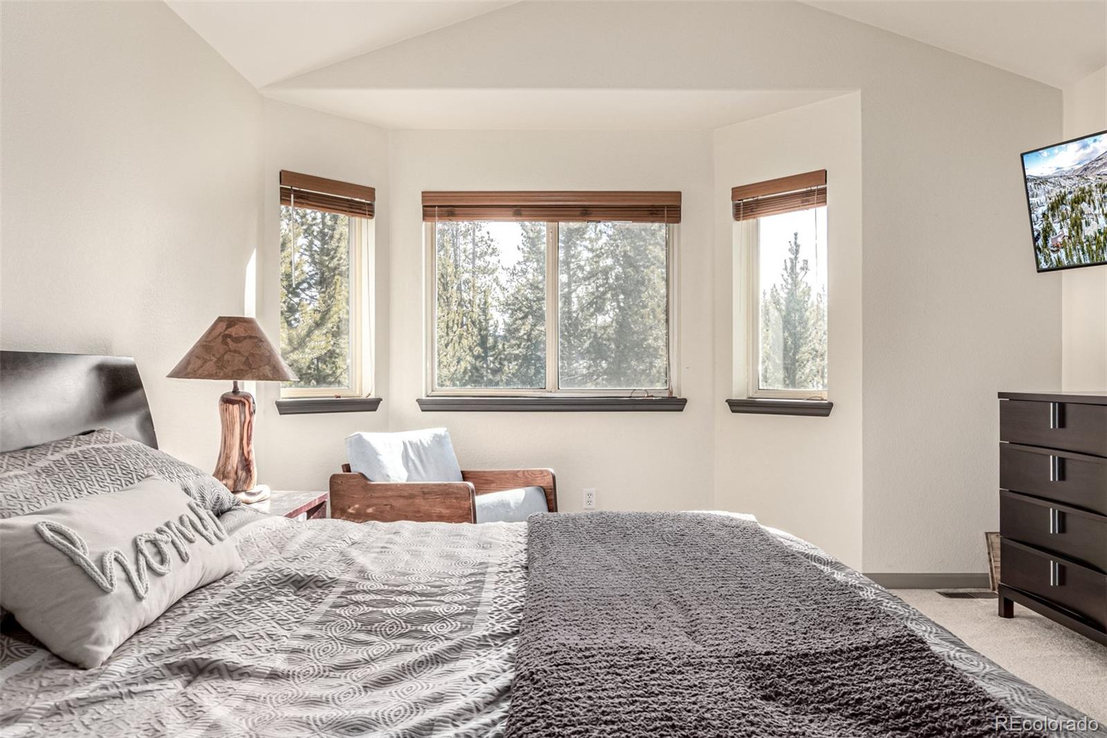 MLS Image #17 for 308  red hawk circle,silverthorne, Colorado