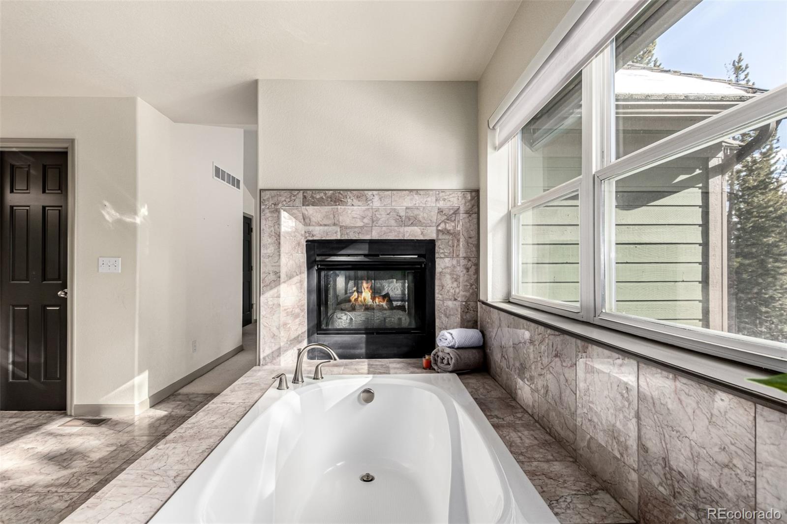 MLS Image #22 for 308  red hawk circle,silverthorne, Colorado