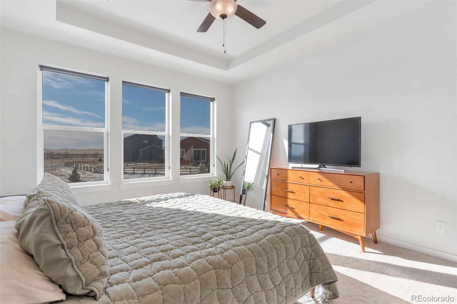 MLS Image #13 for 293  mount rainier street,berthoud, Colorado