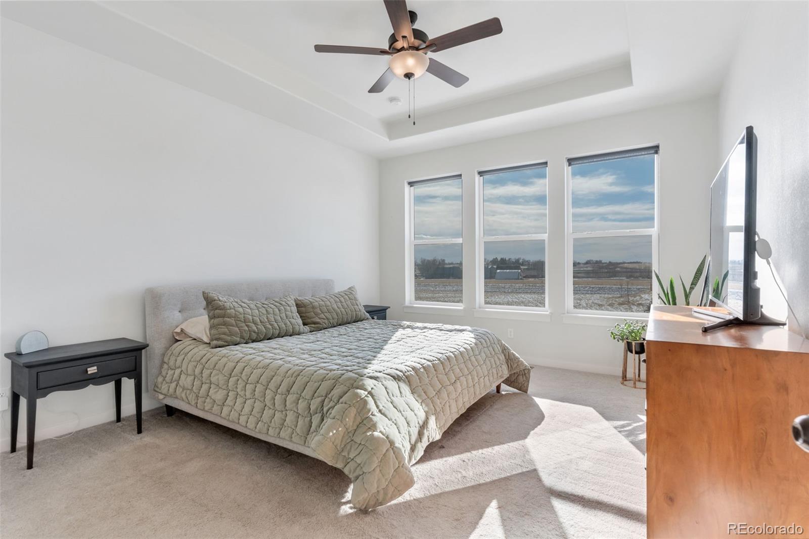 MLS Image #14 for 293  mount rainier street,berthoud, Colorado