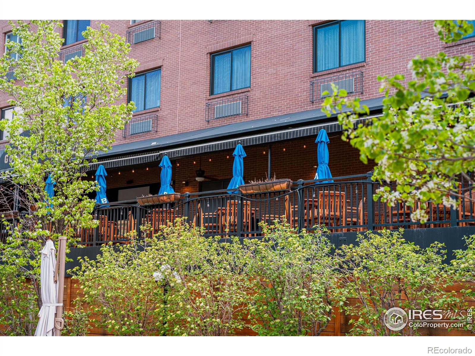 MLS Image #13 for 14467  anvil circle,golden, Colorado