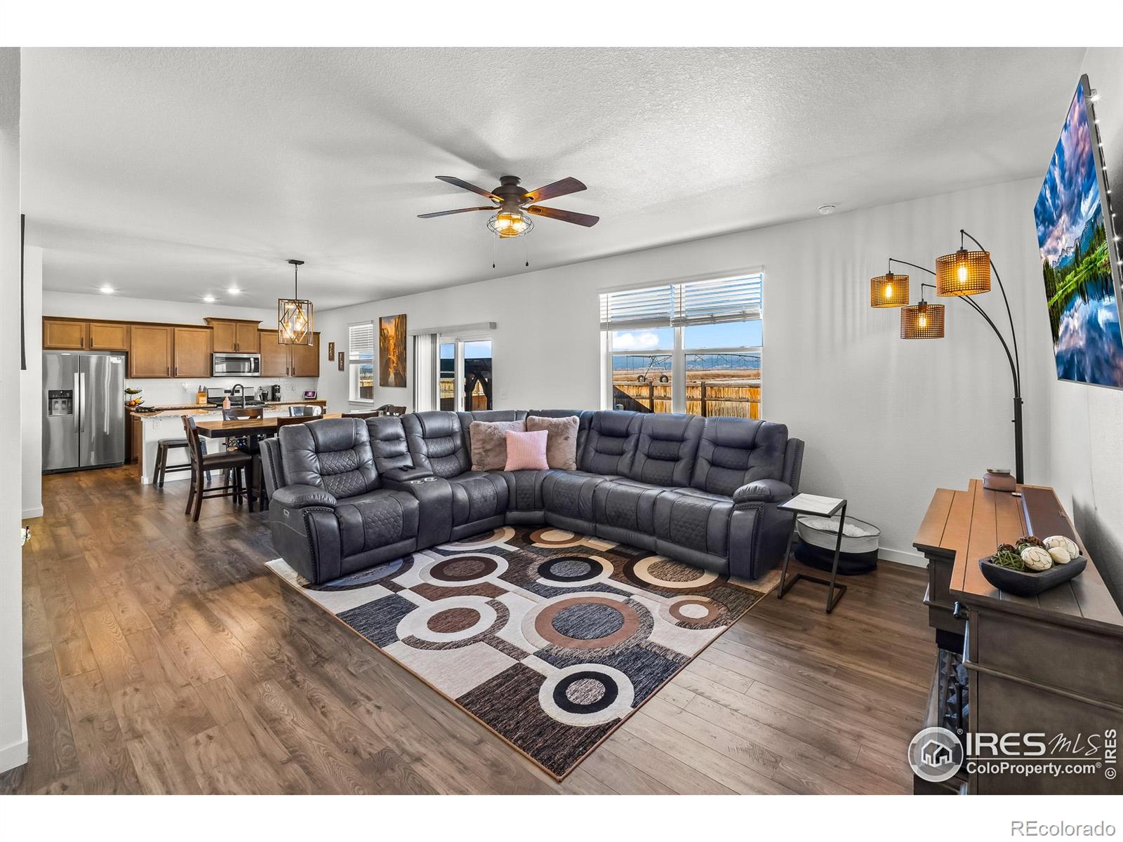 MLS Image #17 for 1255  baker pass street,severance, Colorado