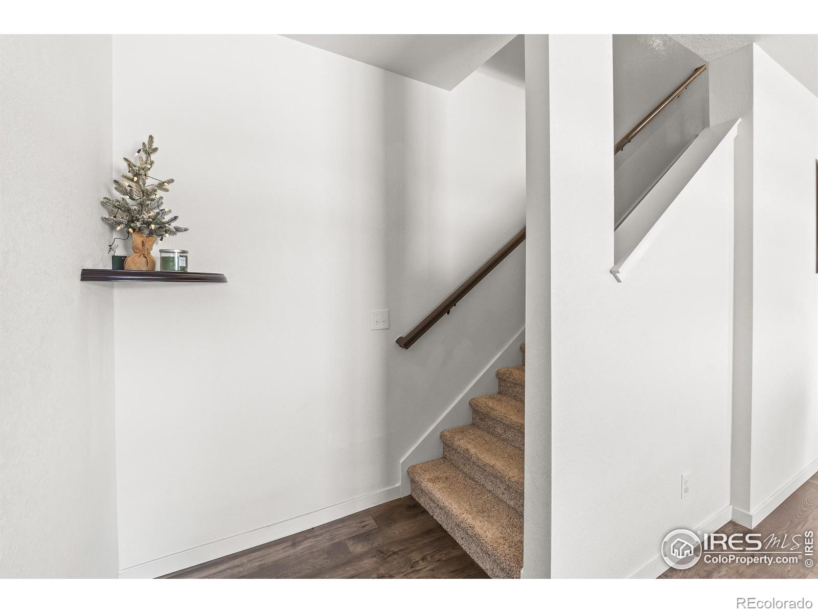 MLS Image #20 for 1255  baker pass street,severance, Colorado
