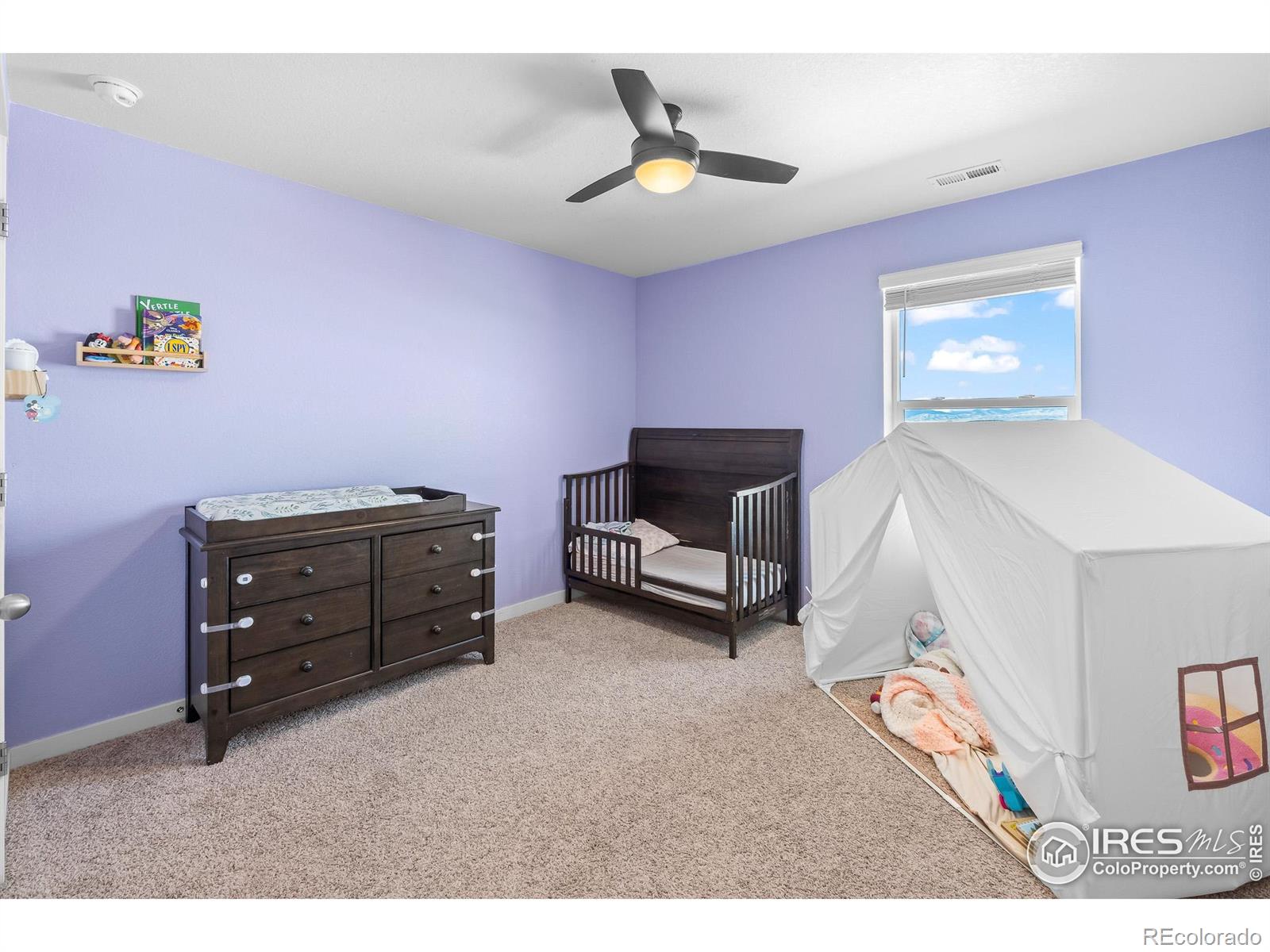 MLS Image #24 for 1255  baker pass street,severance, Colorado