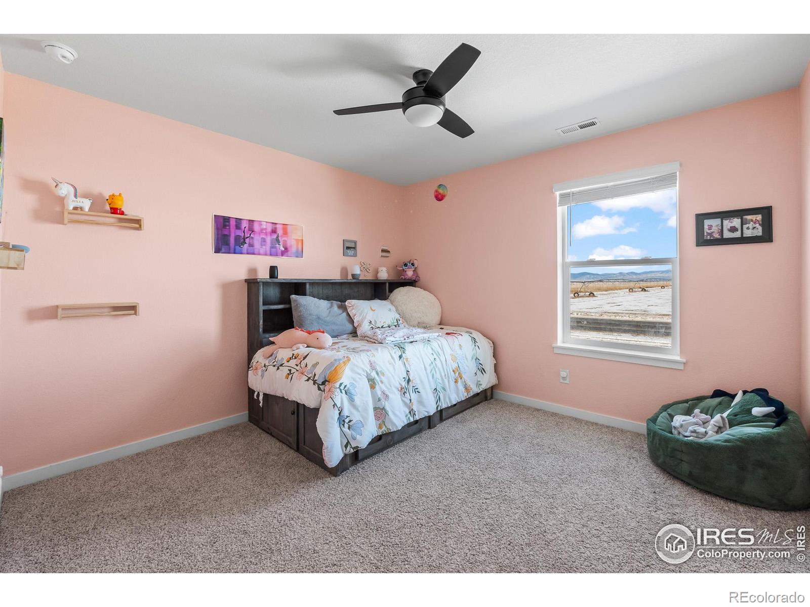 MLS Image #25 for 1255  baker pass street,severance, Colorado