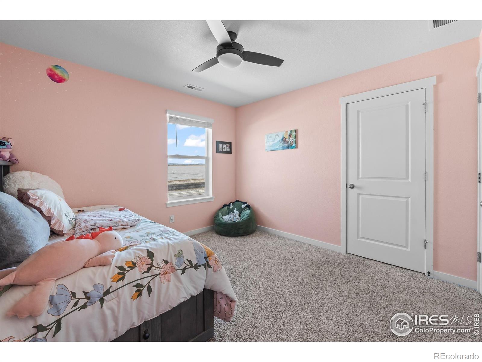 MLS Image #26 for 1255  baker pass street,severance, Colorado