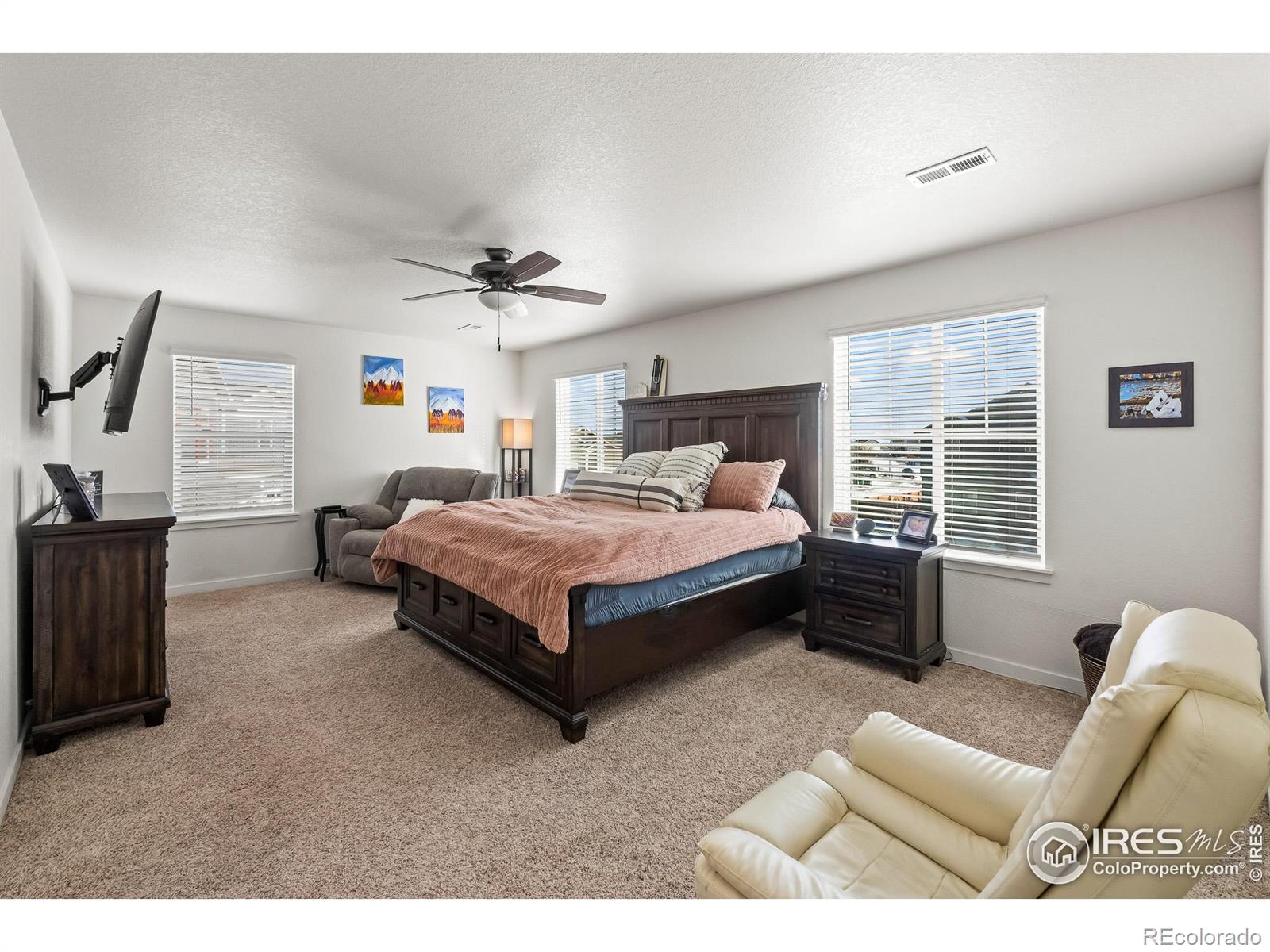 MLS Image #34 for 1255  baker pass street,severance, Colorado
