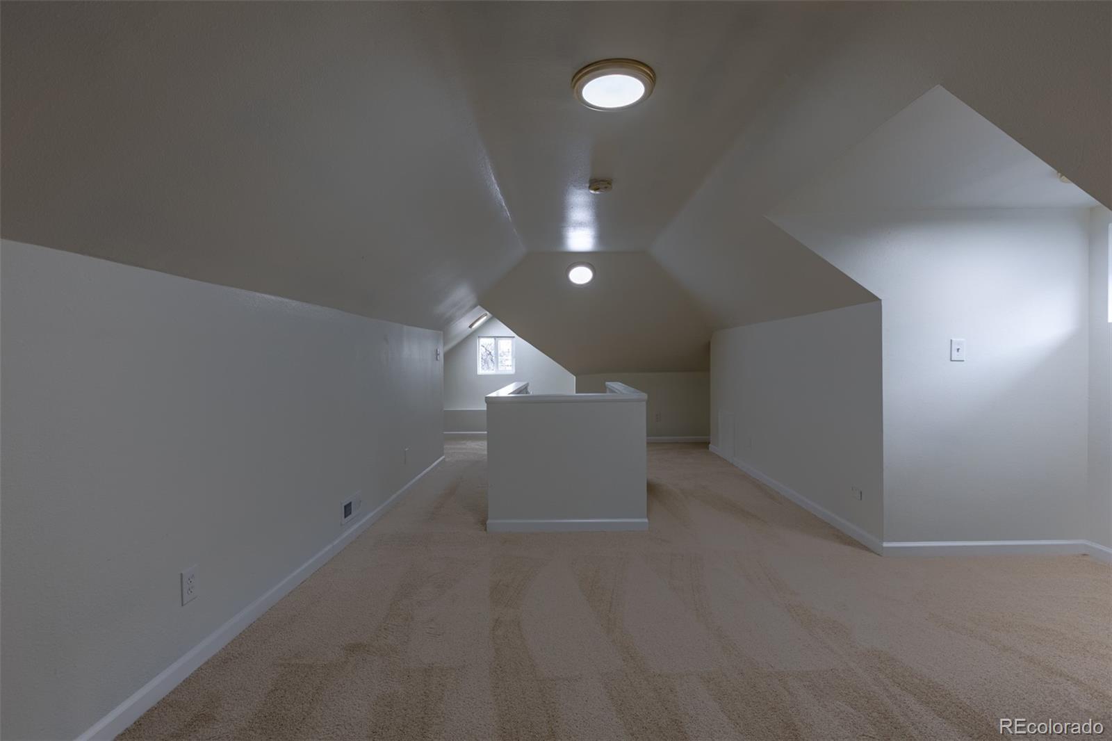 MLS Image #37 for 3783 n franklin street,denver, Colorado