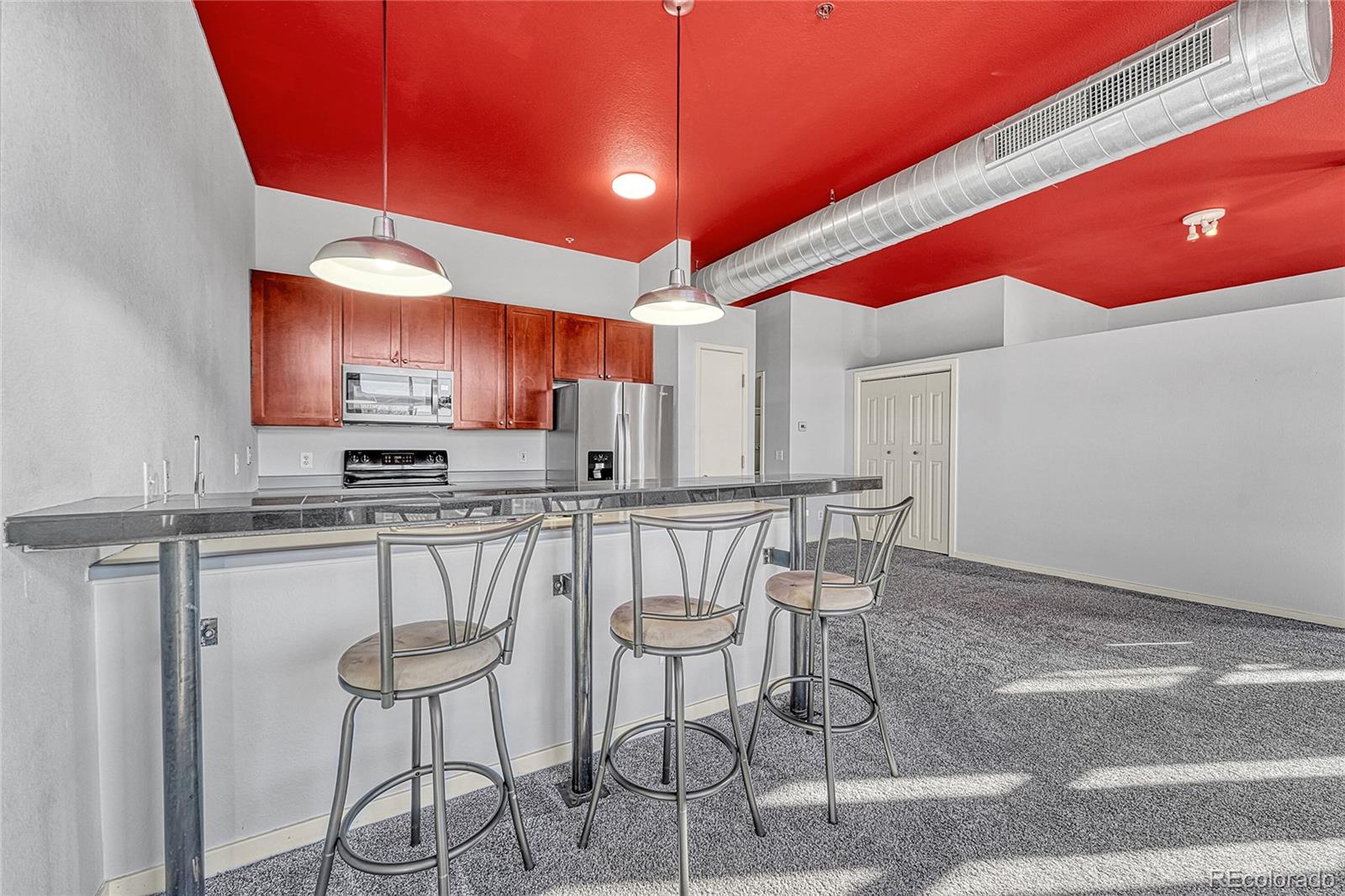 MLS Image #24 for 2900 n downing street,denver, Colorado
