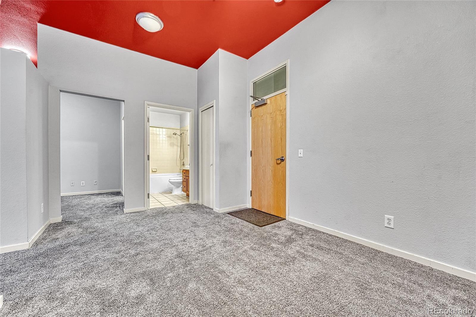 MLS Image #6 for 2900 n downing street,denver, Colorado