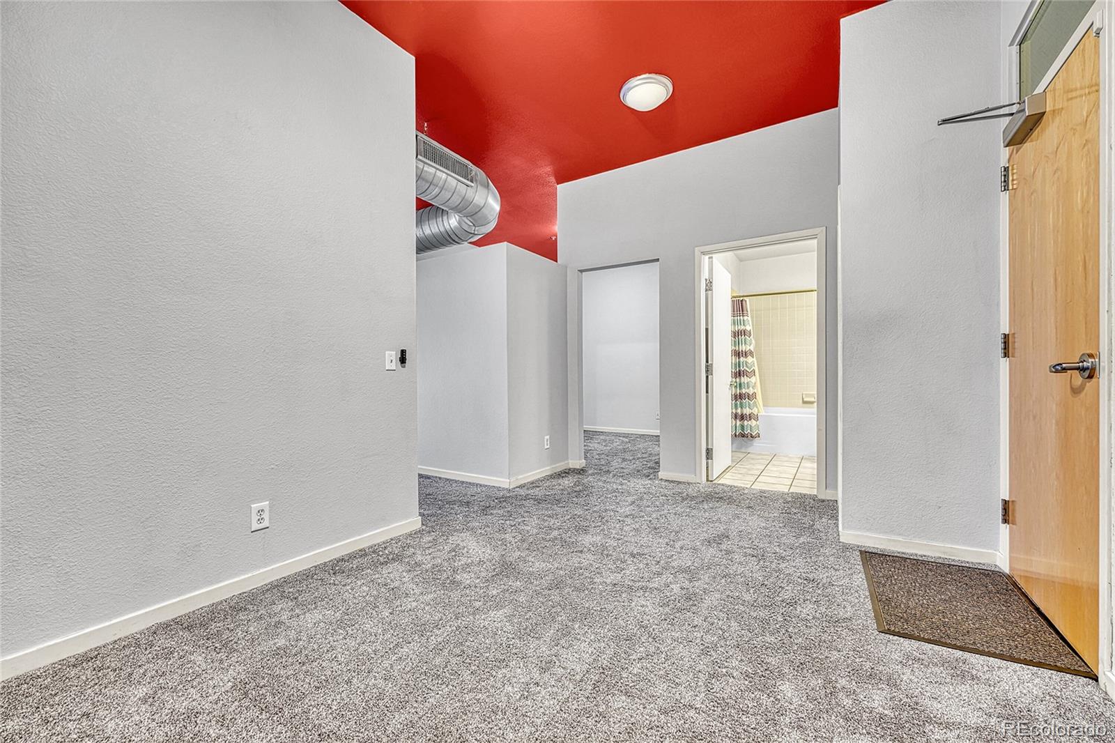 MLS Image #7 for 2900 n downing street,denver, Colorado