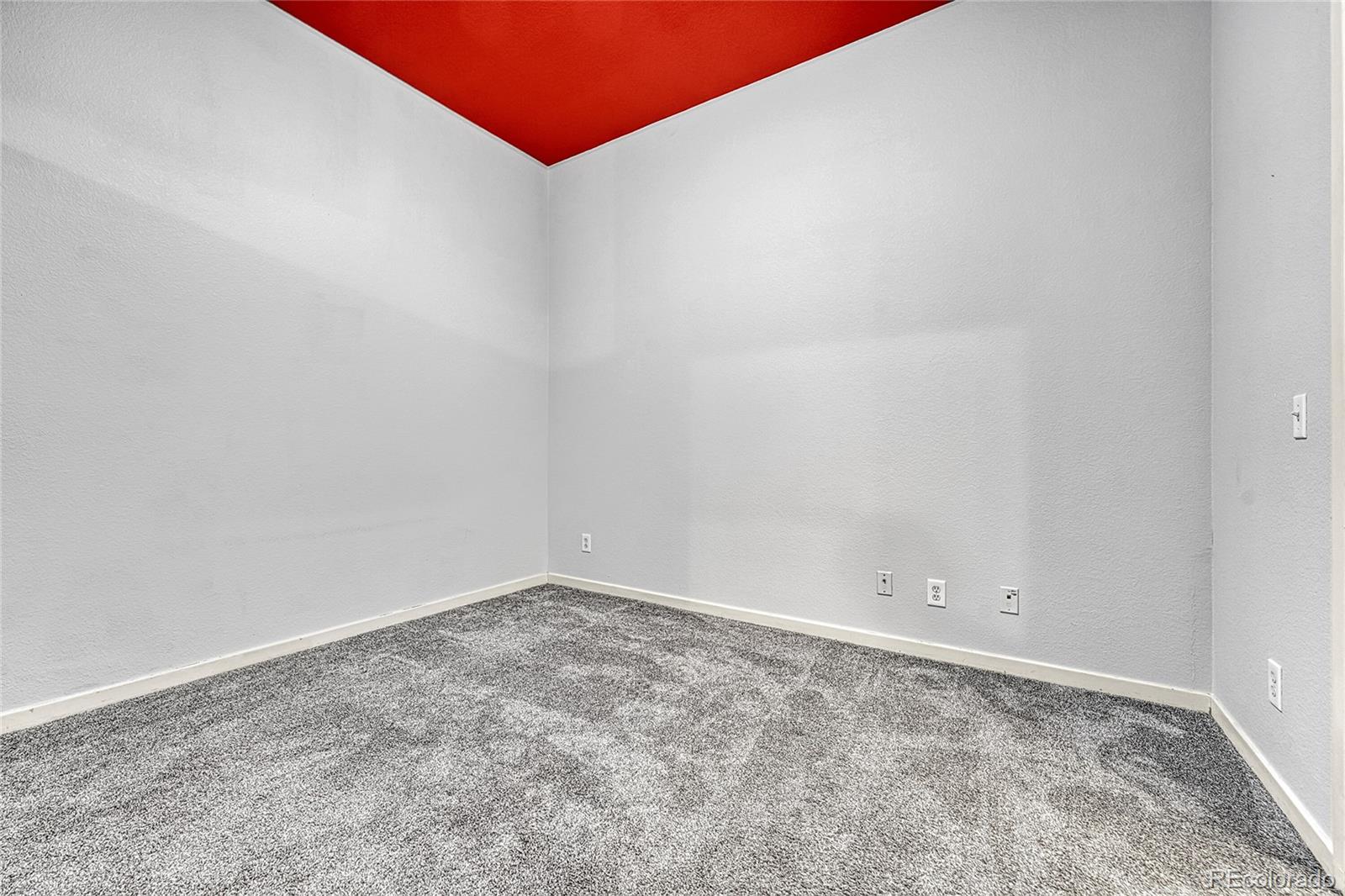 MLS Image #8 for 2900 n downing street,denver, Colorado