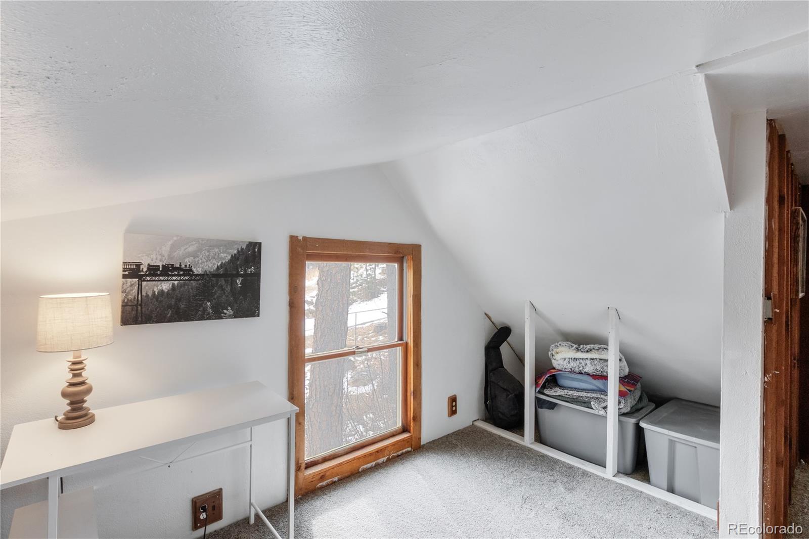 MLS Image #29 for 10225  ute pass avenue,green mountain falls, Colorado