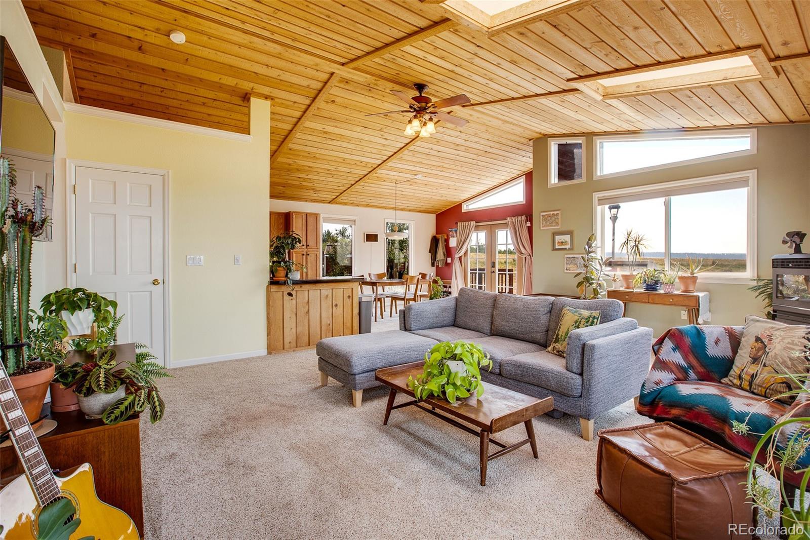 MLS Image #1 for 119  bristlecone lane,fairplay, Colorado