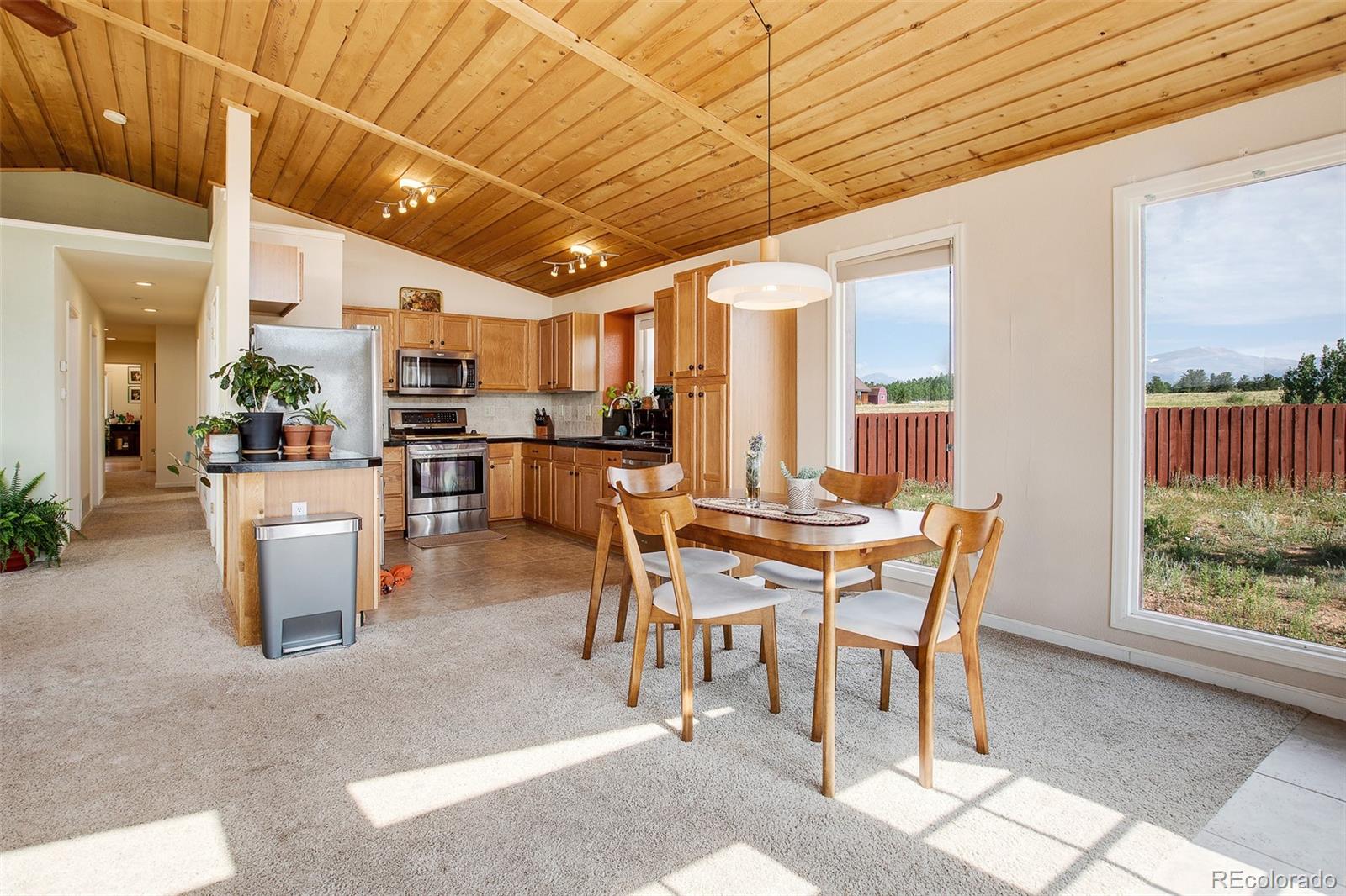 MLS Image #3 for 119  bristlecone lane,fairplay, Colorado