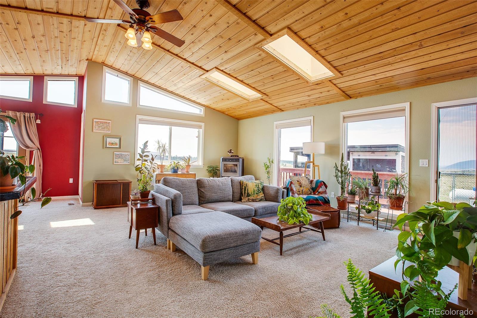 MLS Image #4 for 119  bristlecone lane,fairplay, Colorado