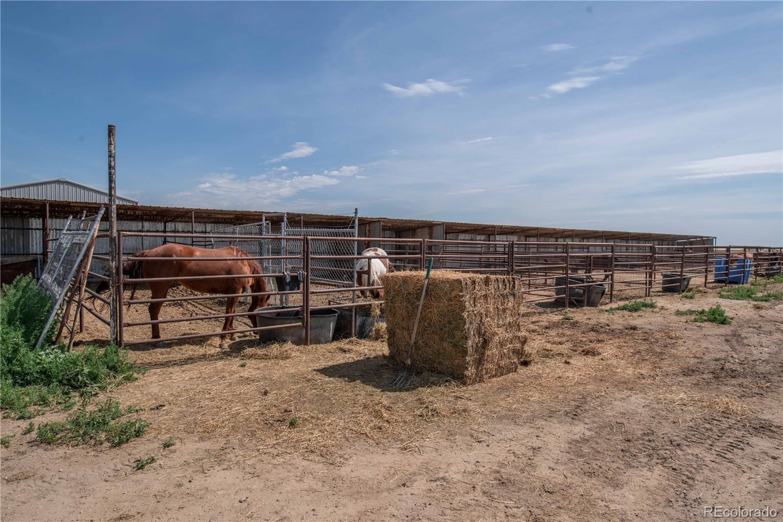 MLS Image #38 for 9368  county road 41 ,fort lupton, Colorado