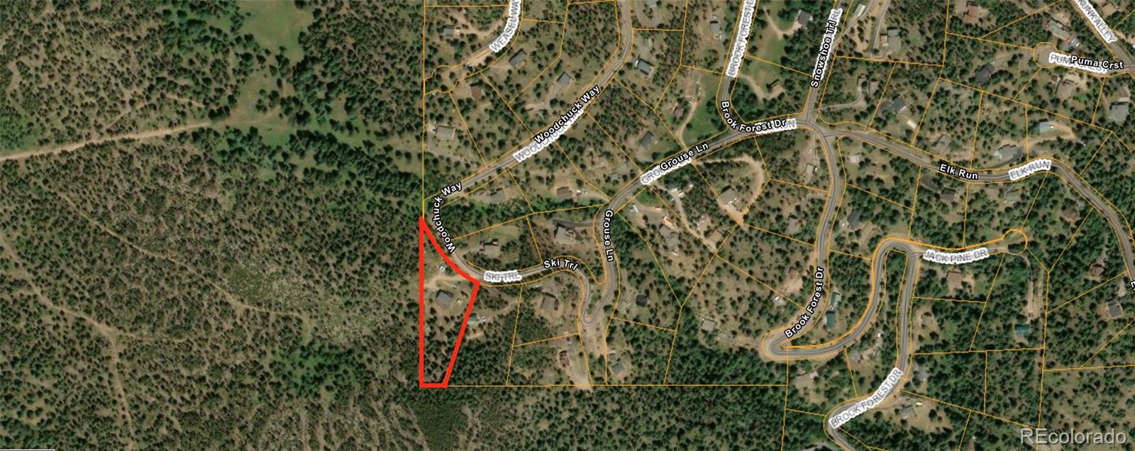 MLS Image #3 for 7051  ski trail,evergreen, Colorado