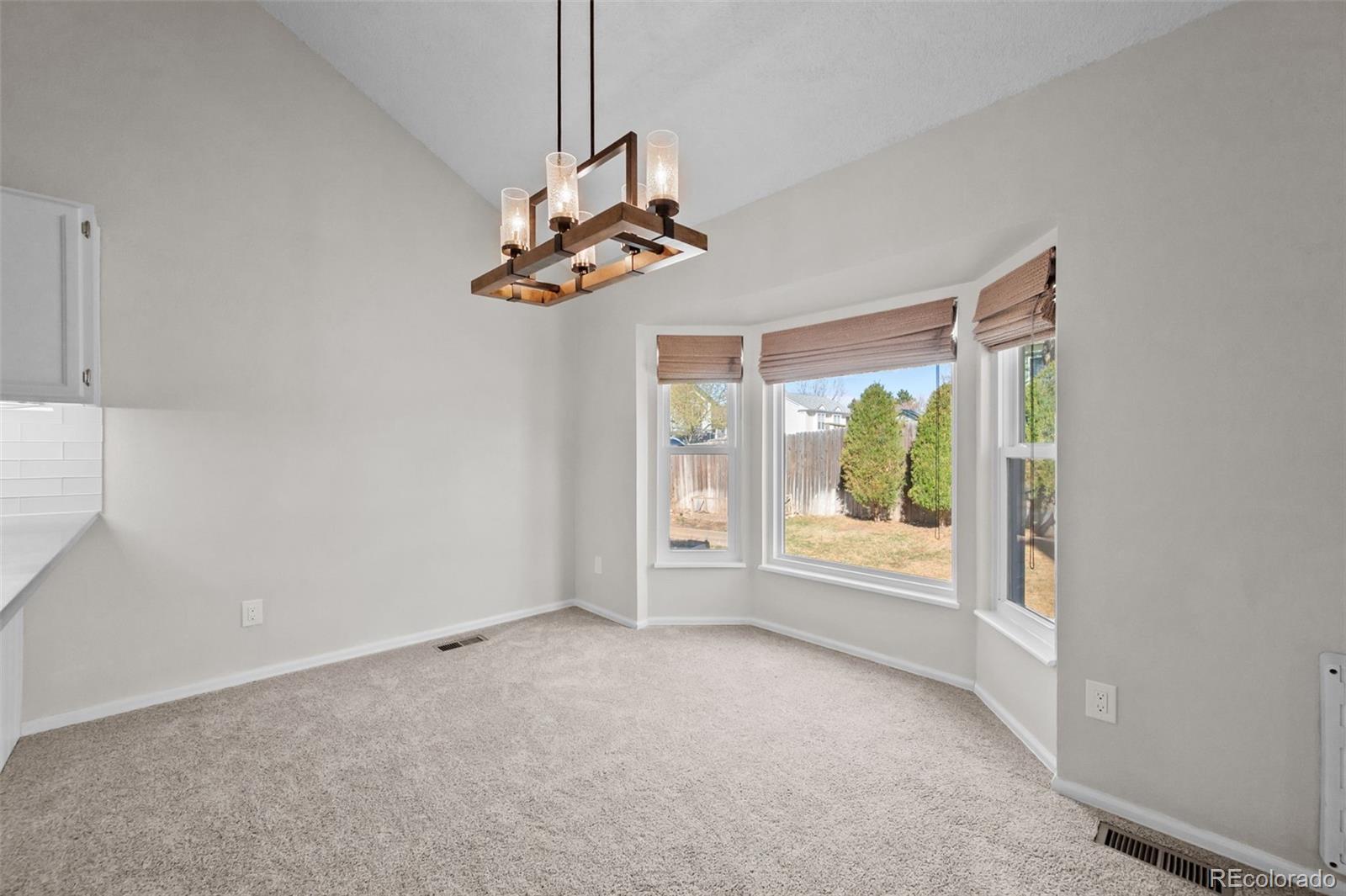 MLS Image #23 for 5904 s netherland circle,centennial, Colorado