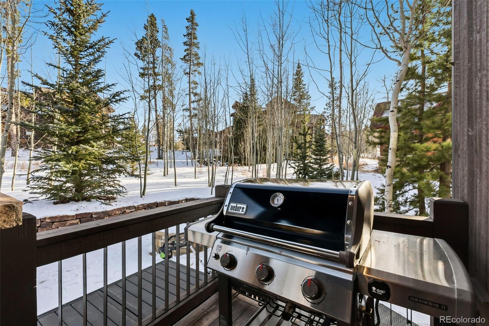 MLS Image #37 for 240  game trail road,silverthorne, Colorado