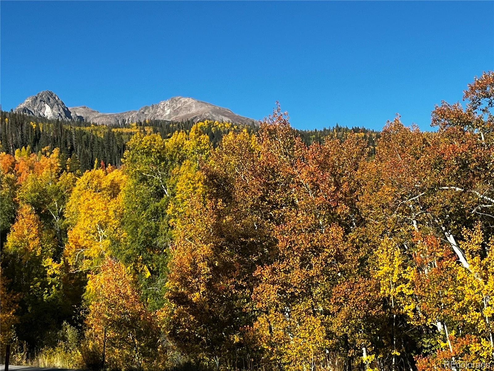 MLS Image #42 for 240  game trail road,silverthorne, Colorado