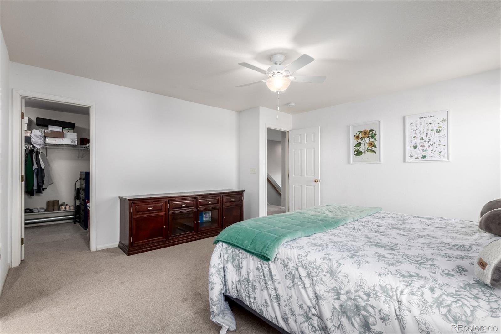 MLS Image #16 for 6193  brantly avenue,castle rock, Colorado