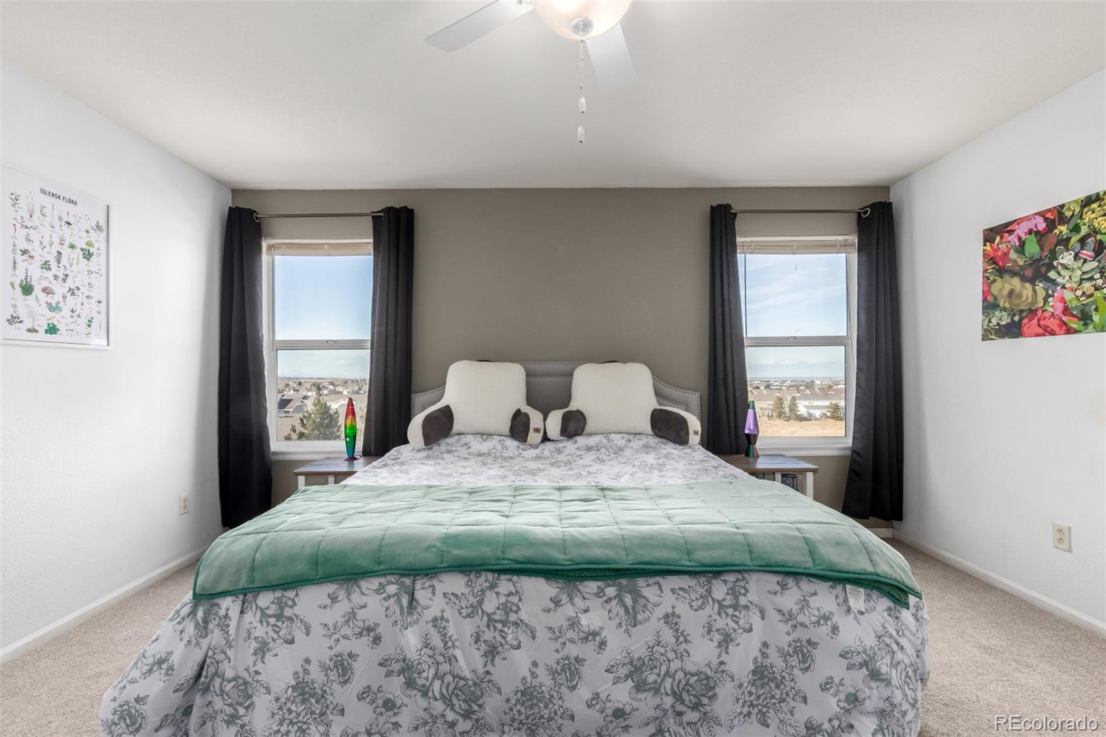 MLS Image #18 for 6193  brantly avenue,castle rock, Colorado