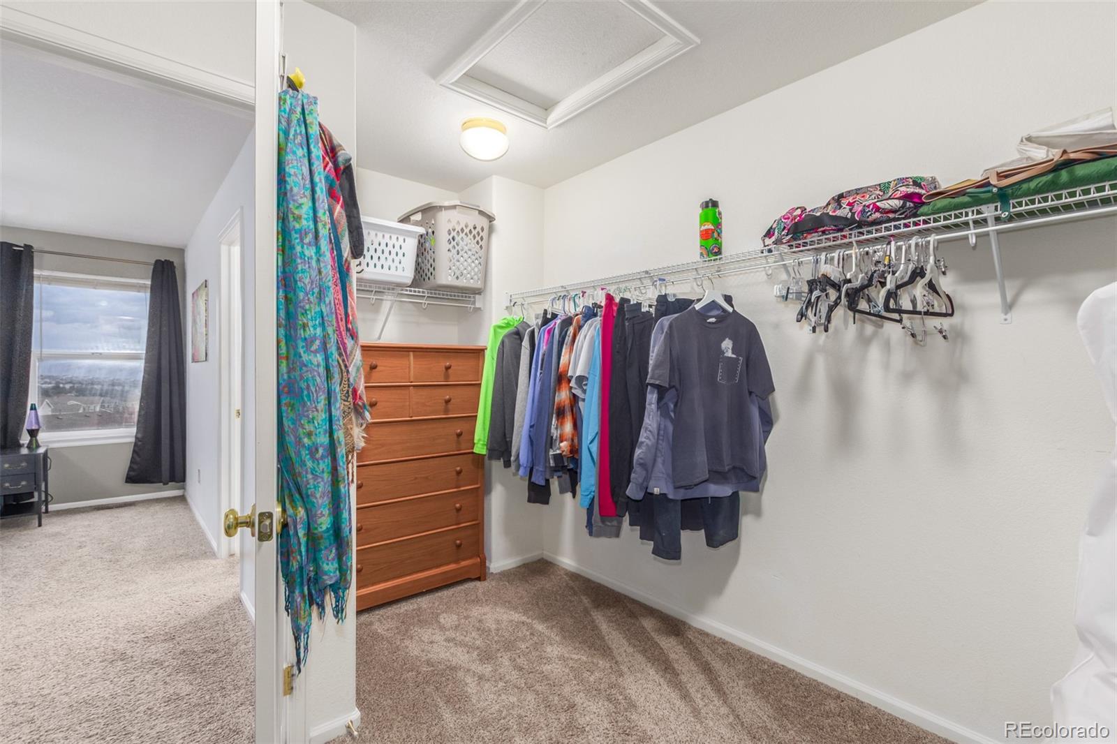 MLS Image #21 for 6193  brantly avenue,castle rock, Colorado