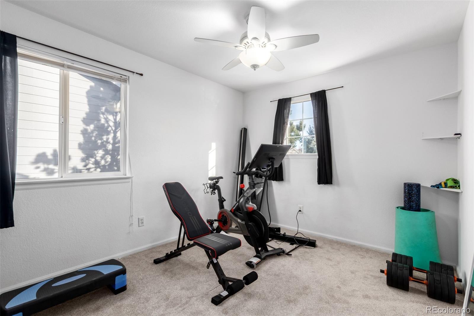 MLS Image #28 for 6193  brantly avenue,castle rock, Colorado