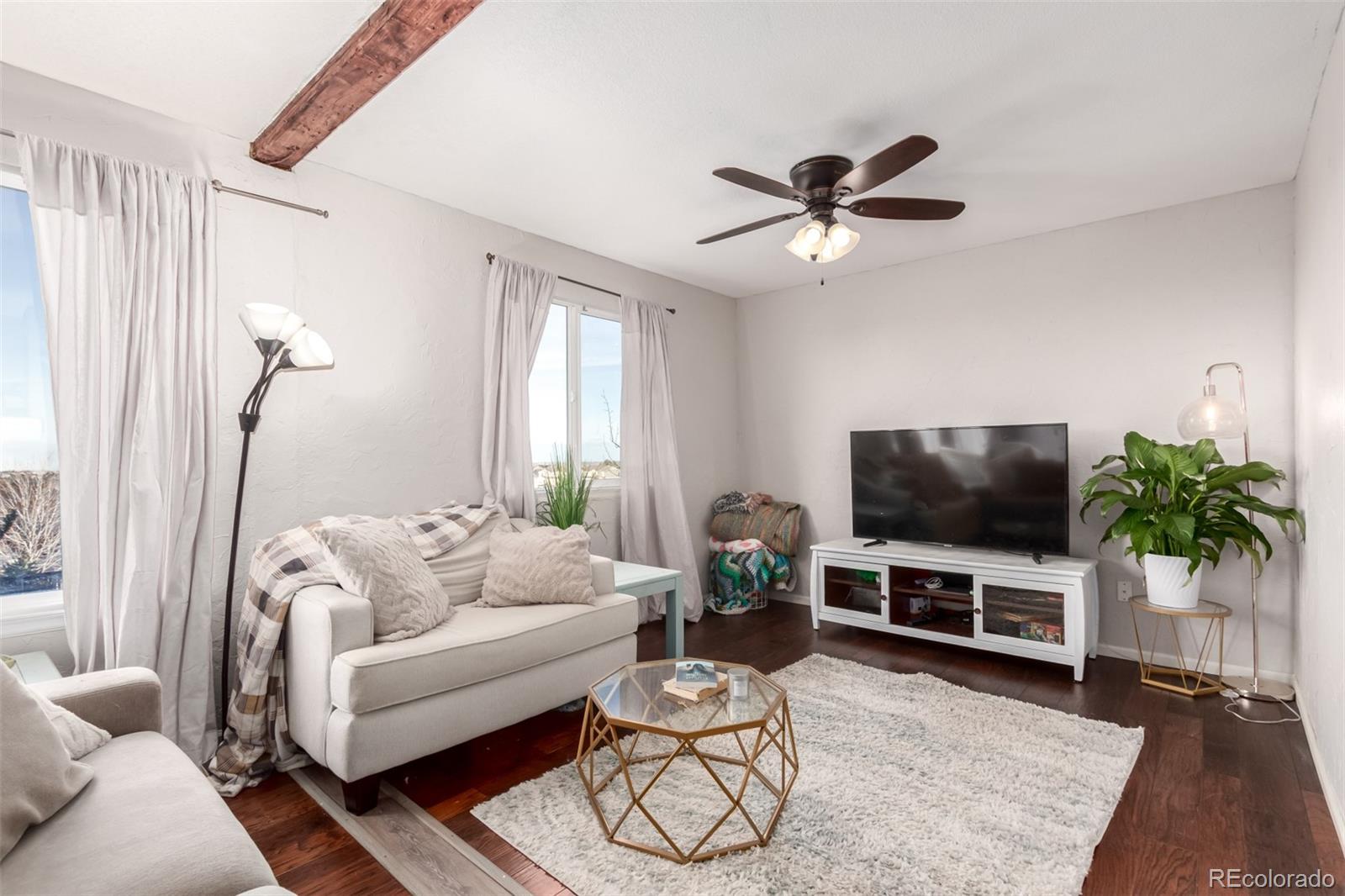 MLS Image #6 for 6193  brantly avenue,castle rock, Colorado