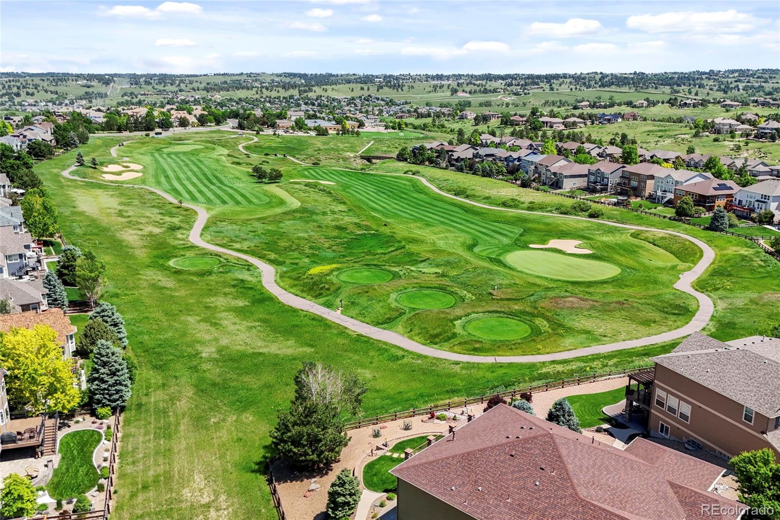 MLS Image #12 for 12000  pine top street,parker, Colorado