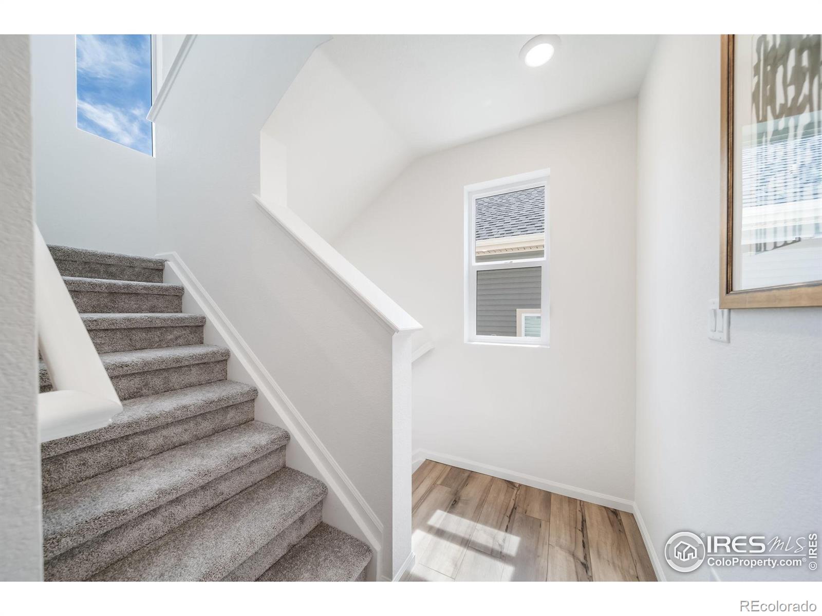 MLS Image #22 for 5246  melvick lane,johnstown, Colorado