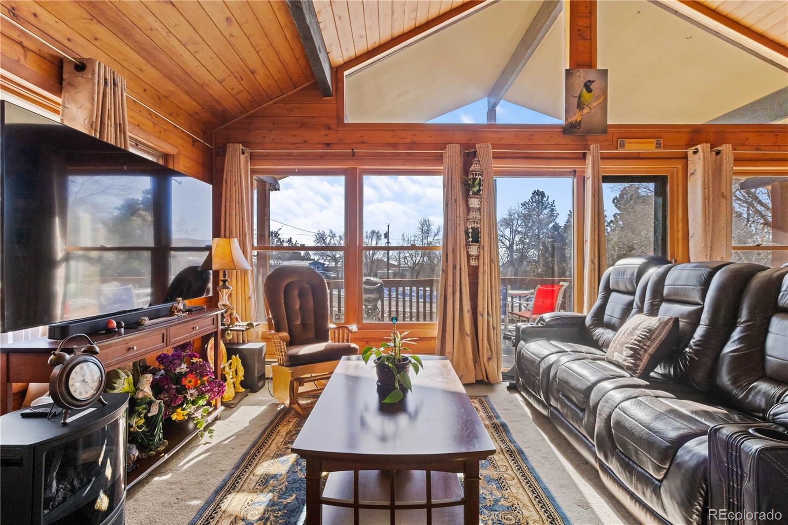 MLS Image #15 for 161 e galena avenue,crestone, Colorado