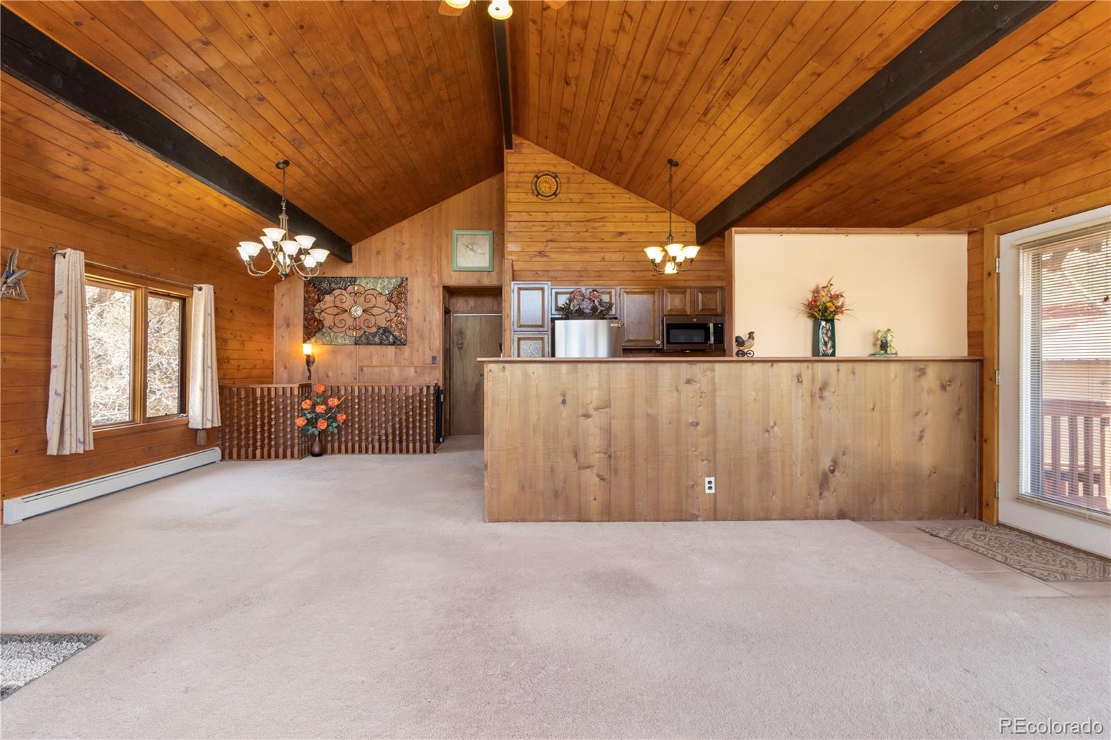 MLS Image #20 for 161 e galena avenue,crestone, Colorado