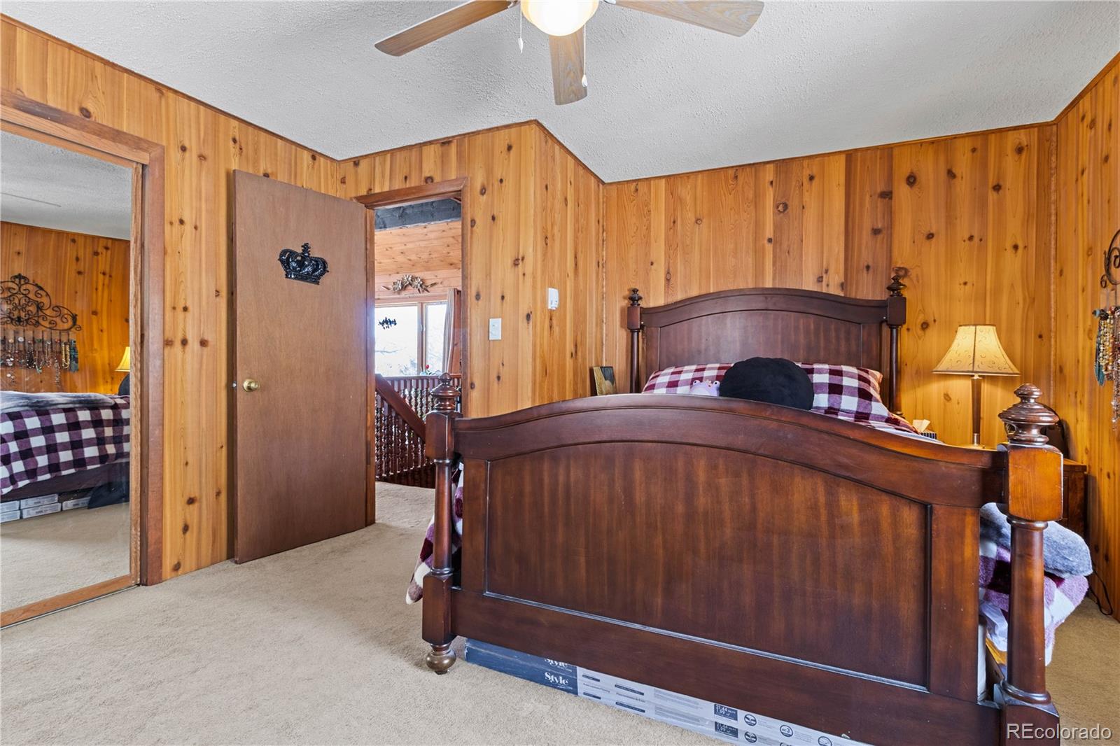 MLS Image #26 for 161 e galena avenue,crestone, Colorado
