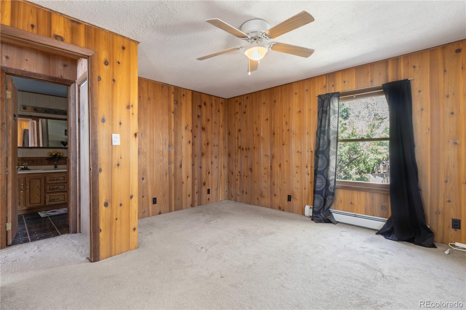 MLS Image #29 for 161 e galena avenue,crestone, Colorado