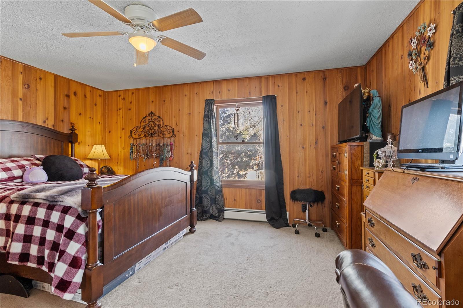 MLS Image #30 for 161 e galena avenue,crestone, Colorado