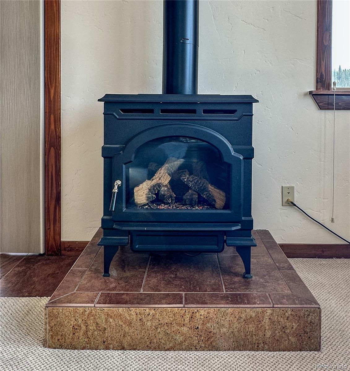 MLS Image #6 for 39  cozens pointe circle,fraser, Colorado