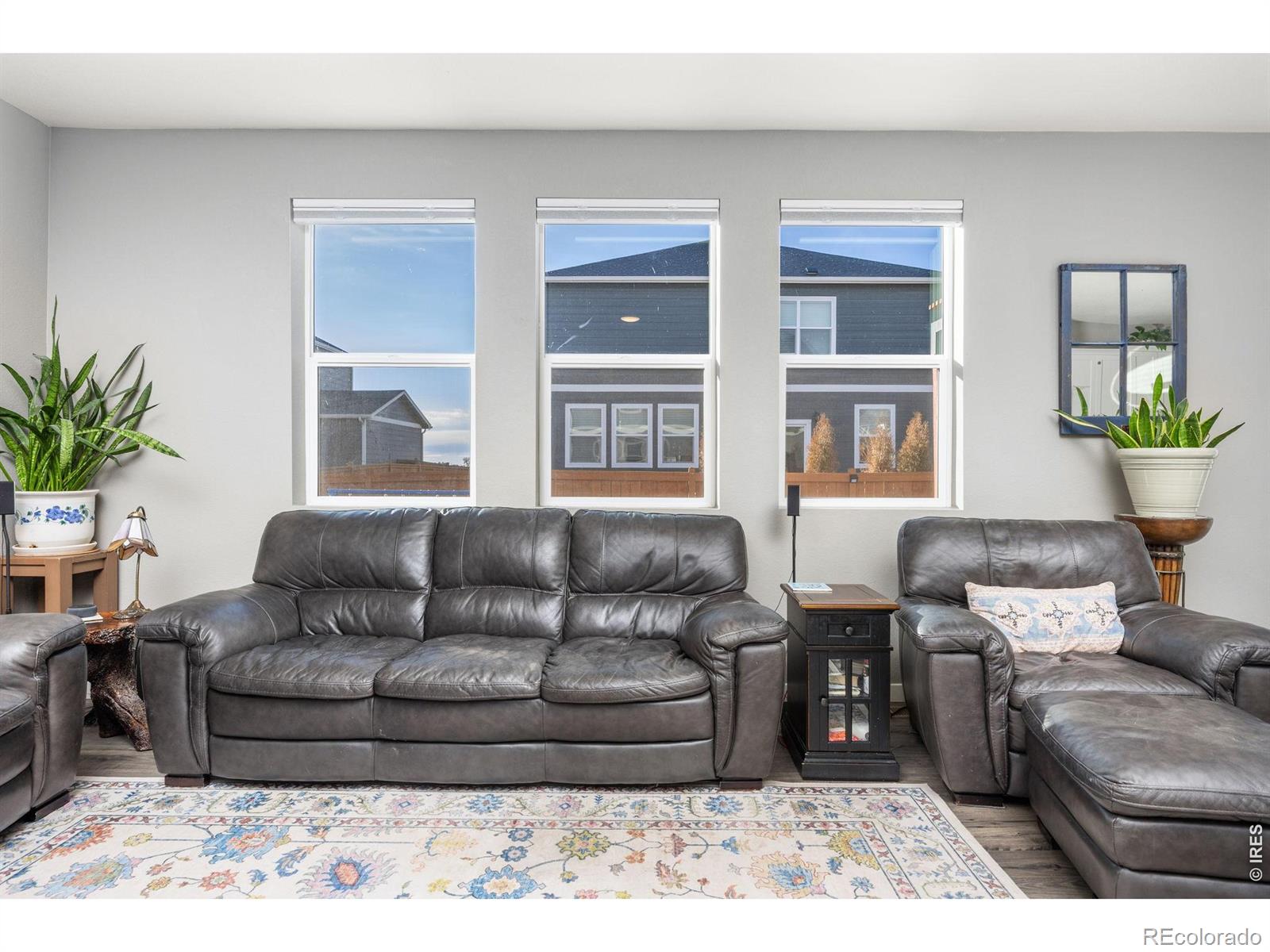 MLS Image #12 for 3725  catmint street,wellington, Colorado