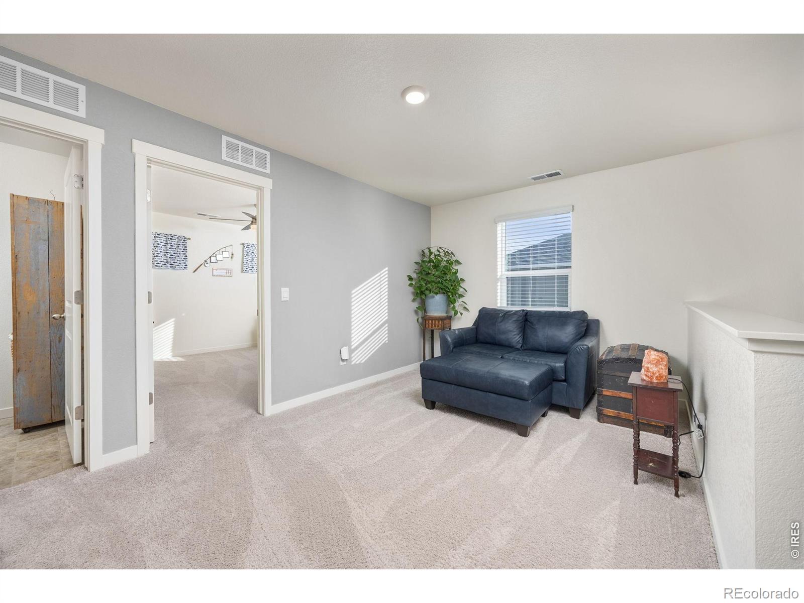 MLS Image #18 for 3725  catmint street,wellington, Colorado