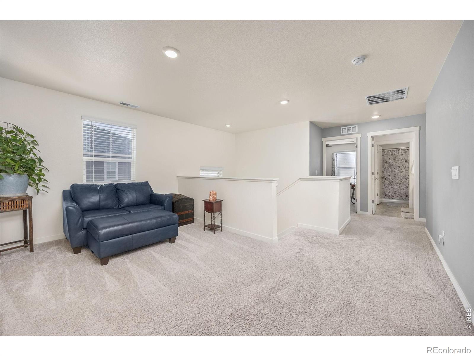 MLS Image #19 for 3725  catmint street,wellington, Colorado
