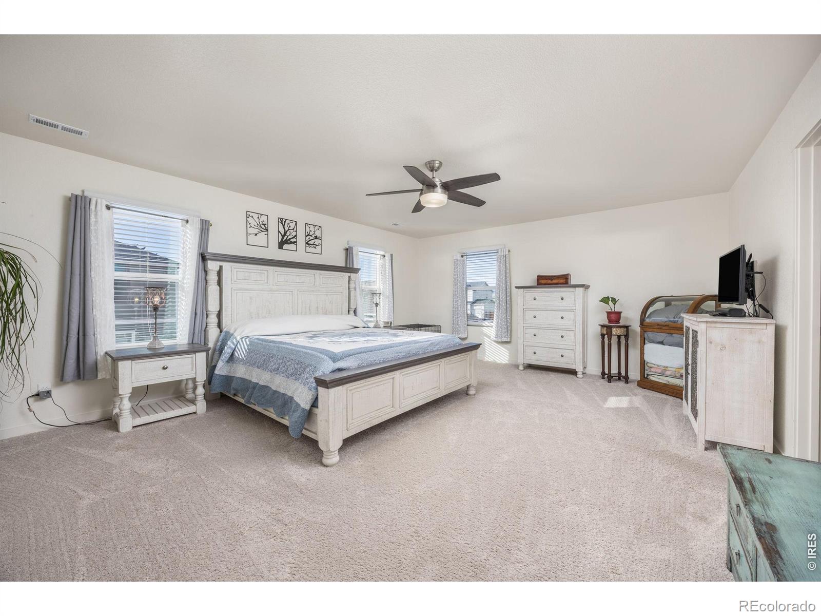 MLS Image #20 for 3725  catmint street,wellington, Colorado